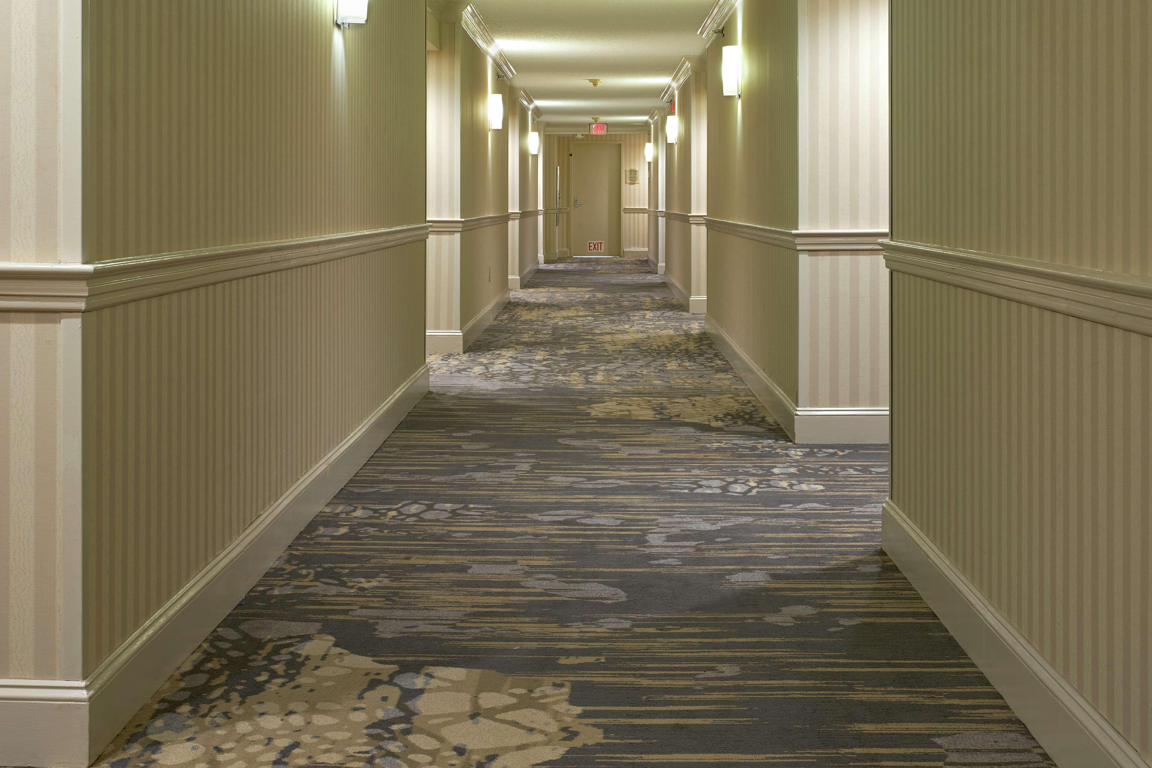 Готель Hilton Raleigh North Hills Інтер'єр фото